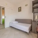 Ivana-mira Okrug Gornji